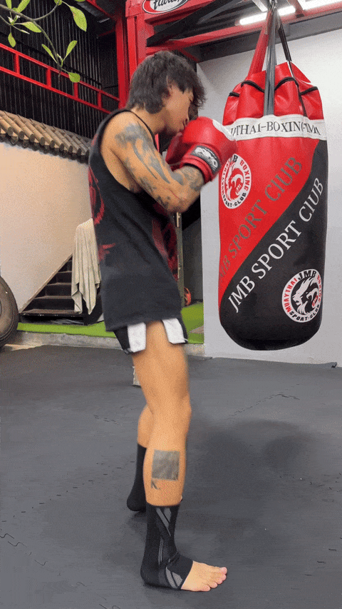 Ankle Support