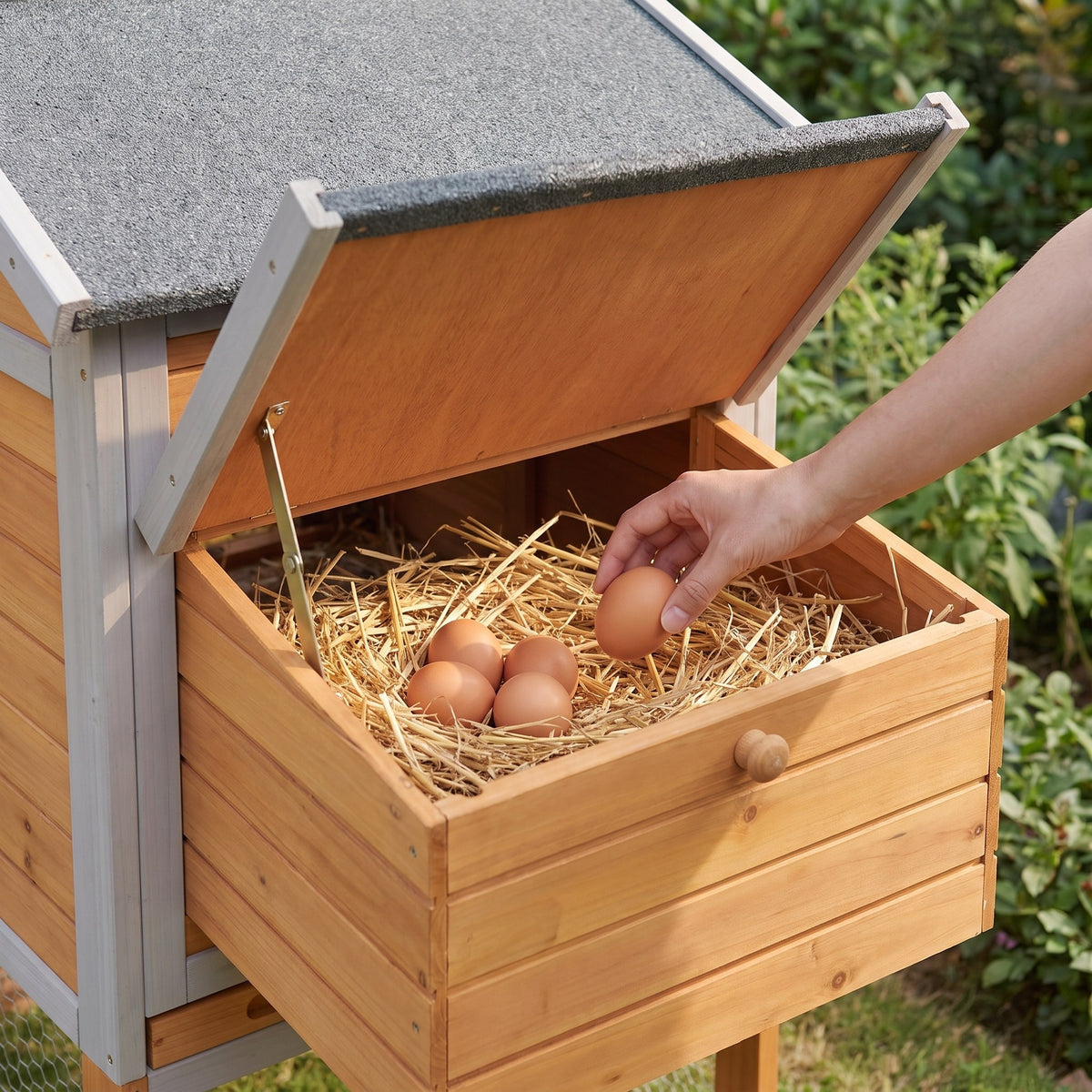 Side nesting box opened, with fresh eggs in the straw